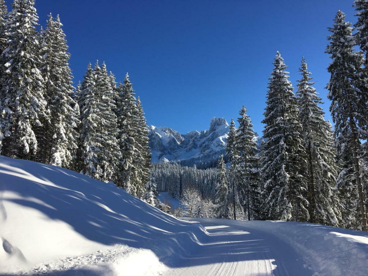 Apartment Kraemerhaus Annaberg, Dachstein West Екстериор снимка